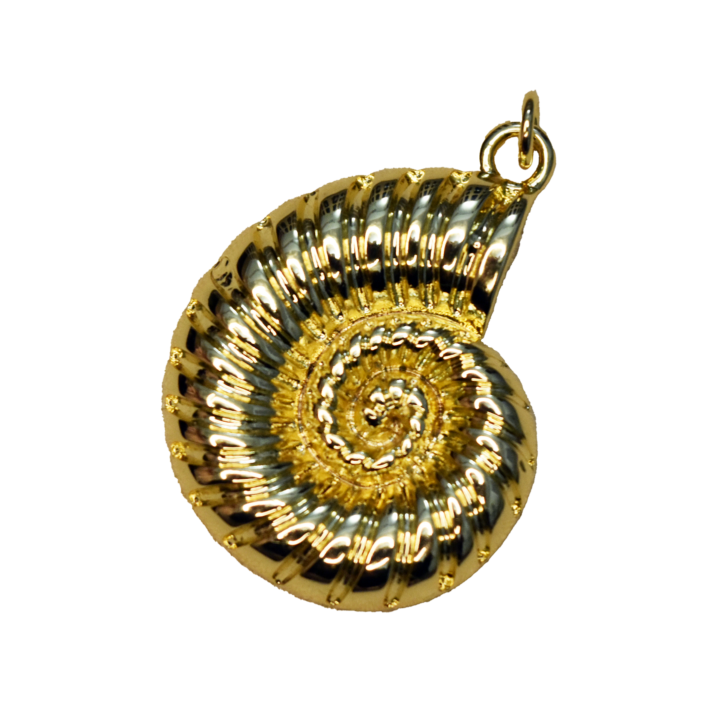 Circular Shell Charm